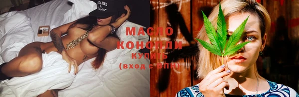 ECSTASY Ельня