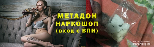 прущие грибы Дмитров