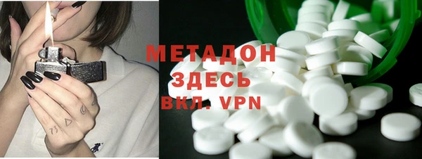 прущие грибы Дмитров