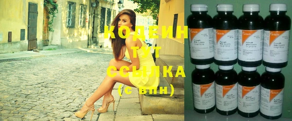 ECSTASY Ельня