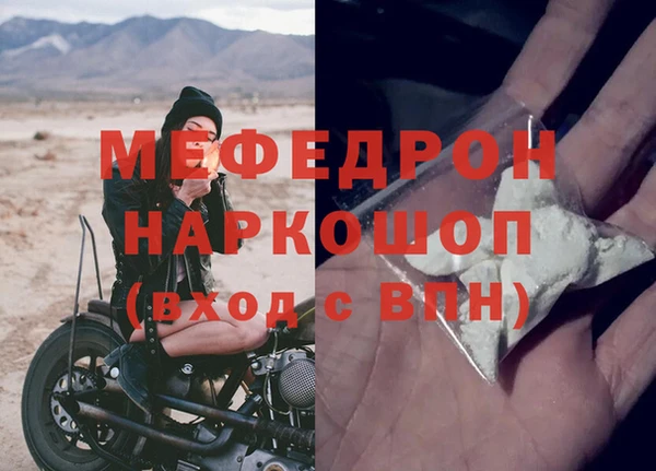 ECSTASY Ельня